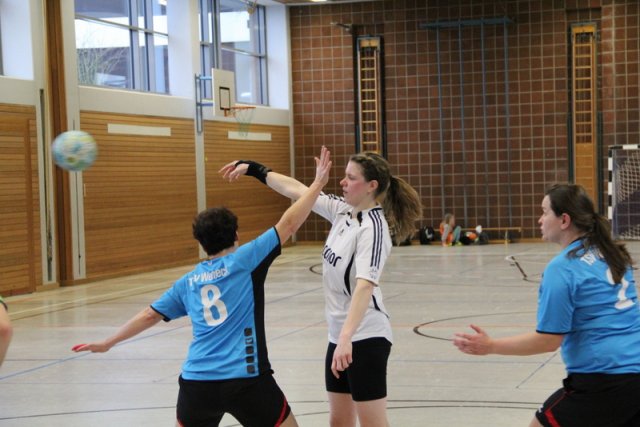 2017_01_08 Landesliga Frauen u. J19